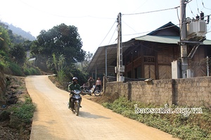 Bó Hoi khởi sắc