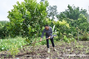 Mộc Châu triển khai hiệu quả các chính sách dân tộc