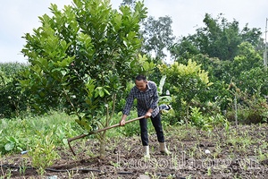 Mộc Châu triển khai hiệu quả các chính sách dân tộc