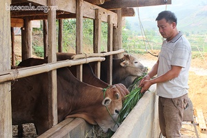 Về bản Hỏm