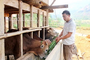 Về bản Hỏm