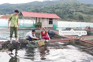 Kênh dẫn vốn quan trọng trong thực hiện chính sách tín dụng