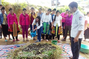 Công việc nhà nông tháng 5