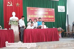 Phong trào công nhân lao động ở Công ty TNHH Nông nghiệp Tô Hiệu
