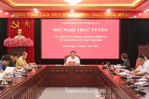 Hội nghị trực tuyến về công tác phòng chống thiên tai và tìm kiếm cứu nạn năm 2020