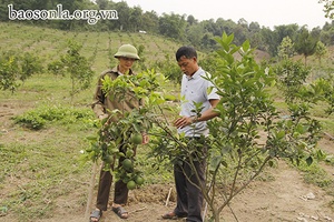 Mường Và xây dựng nông thôn mới