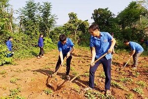 Huyện đoàn Yên Châu: Phát động công trình hàng cây thanh niên “Đời đời nhớ ơn Chủ tịch Hồ Chí Minh”