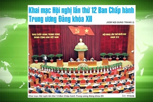 Điểm báo tuần 19 năm 2020