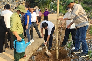 Nhiều địa phương tổ chức Lễ phát động ra quân trồng cây kỷ niệm 130 năm Ngày sinh Chủ tịch Hồ Chí Minh