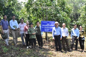 Sở Khoa học và Công nghệ: Kiểm tra tiến độ thực hiện các đề tài nghiên cứu về xoài tròn Yên Châu