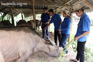 Tuổi trẻ Nặm Ét xung kích phát triển kinh tế