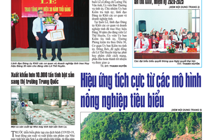 Báo Sơn La, Thứ 3 ngày 26/5/2020