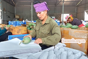 Mai Sơn đẩy mạnh hoạt động xuất khẩu               