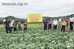 CÔNG VIỆC NHÀ NÔNG THÁNG 6