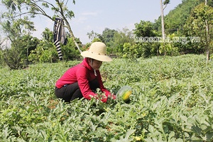 Hội viên phụ nữ năng động