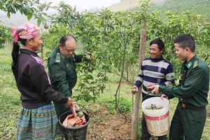 Ấm tình quân dân nơi biên giới