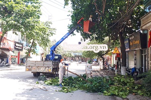 Quản lý, nâng cao chất lượng các dịch vụ công ích             