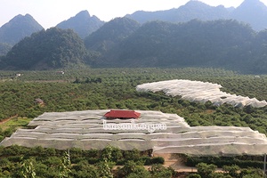 Mộc Châu chủ động phòng, chống thiên tai         