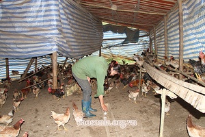 Chị Chiếng năng động phát triển kinh tế