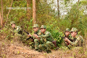 Tăng cường đấu tranh phòng, chống ma túy và tội phạm khu vực biên giới