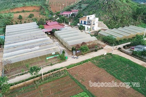 Nâng cao hiệu quả hoạt động các HTX ở Mộc Châu