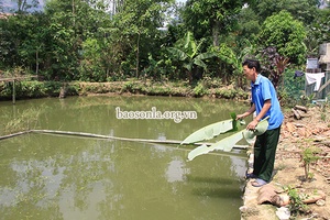 Phong trào thi đua “Tuổi cao - gương sáng”         