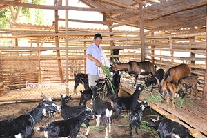 Mường Khiêng phát triển chăn nuôi       