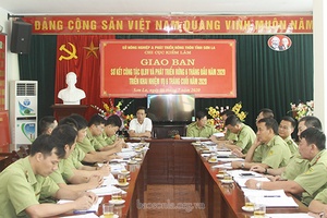 Triển khai nhiệm vụ công tác quản lý, bảo vệ, phát triển rừng 6 tháng cuối năm