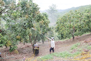 Khởi sắc Yên Hưng