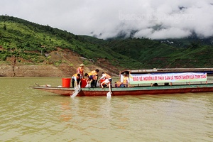 Thả trên 92 nghìn con cá giống xuống lòng hồ thủy điện Sơn La