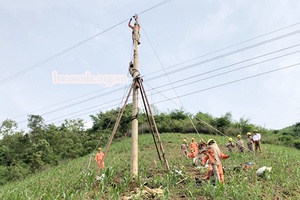 Điện lực Sông Mã đảm bảo an toàn lưới điện mùa mưa lũ             