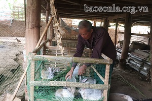 Năng động trong phát triển kinh tế