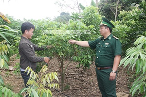 Xây dựng hệ thống chính trị khu vực biên giới vững mạnh