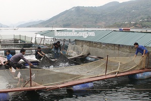 Giảm nghèo từ nguồn vốn tín dụng ưu đãi           