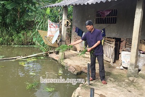 Phó Chủ tịch Hội người cao tuổi làm kinh tế giỏi 