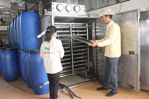 Xây dựng thương hiệu từ các sản phẩm OCOP