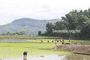 Bản Hán - điểm sáng xây dựng nông thôn mới