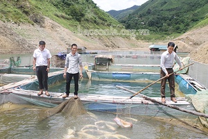 Khởi sắc nông nghiệp Thuận Châu           