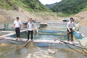 Khởi sắc nông nghiệp Thuận Châu