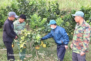 Trở lại Phiêng Pằn