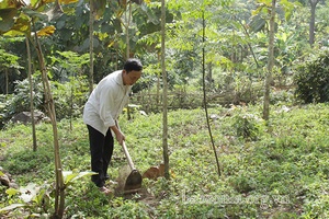 Kim Bon nỗ lực giảm nghèo