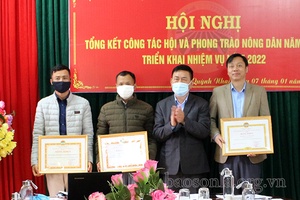 Hỗ trợ nông dân tham gia các mô hình kinh tế tập thể