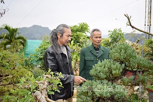 Nhà vườn sinh vật cảnh tiêu biểu trên phố núi