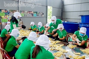 Liên kết sản xuất, chế biến măng theo chuỗi giá trị