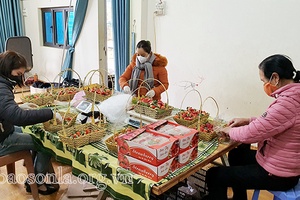 Dấu ấn “nghị quyết tam nông” ở Mai Sơn