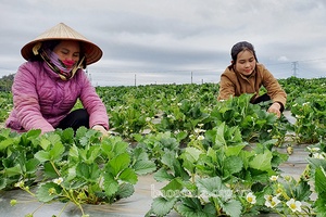 Những mô hình “Dân vận khéo” ở Mai Sơn