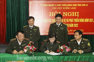 Chi cục Kiểm lâm triển khai nhiệm vụ năm 2022