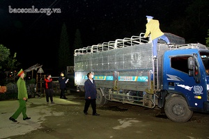 Kiểm soát, phòng ngừa dịch bệnh động vật nơi cửa ngõ