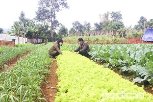 Đảm bảo cung ứng hàng hóa trong dịp Tết Nguyên đán