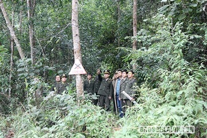 Công tác quản lý, bảo vệ rừng ở huyện biên giới Sốp Cộp